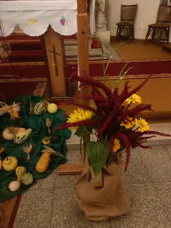 IMG20240906193544
