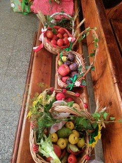 IMG20240908101139