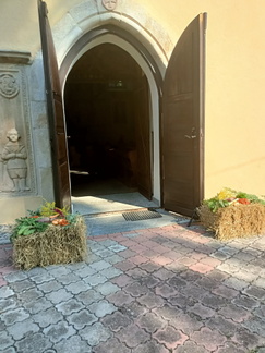 IMG20240908102228