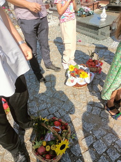 IMG20240908105735