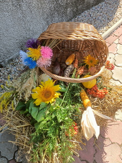 IMG20240908105754