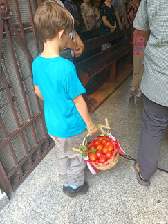 IMG20240908110800