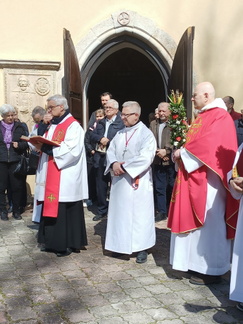 IMG20250413113727